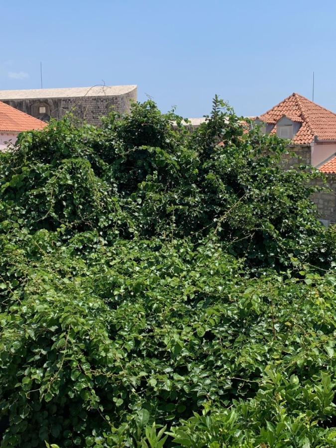 דוברובניק Apartman Lucic C מראה חיצוני תמונה
